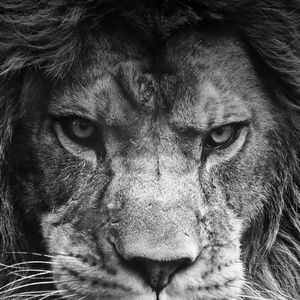 Meet your Posher, Deleno